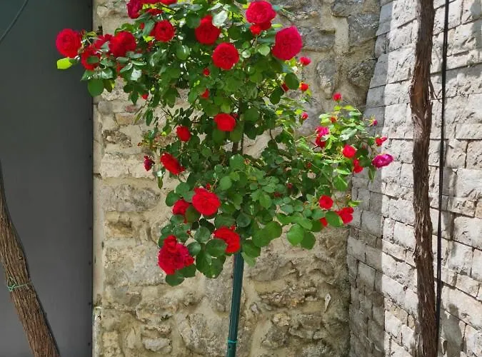 Big Valley * Krizisce